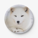 Search for cute arctic fox crafts party White