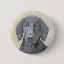 Search for flat badges Flat coated retriever