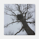 Search for brook magnets Tree