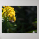 Search for bee painting posters Insect