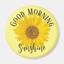 Search for sunshine yellow magnets Sunflowers