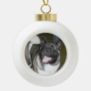 Search for akita christmas tree decorations Puppy
