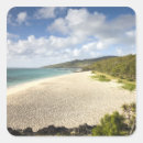 Search for water island stickers Tropical