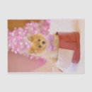 Search for dog christmas tissue paper Pet