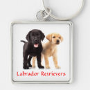 Search for mutt key rings Canine