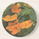 Search for alternative coasters Colourful
