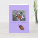 Search for peacock butterfly cards Butterflies