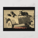 Search for vintage dog photos postcards Photography