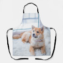 Search for design aprons Cute