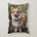 Search for corgi decor Dog