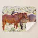 Search for danita delimont blankets Jaynes gallery