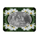 Search for cosmos magnets Nature