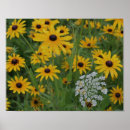 Search for floral lace posters Botanical