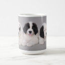 Search for landseer mugs Newfoundland