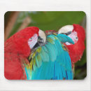 Search for pet parrot electronics Macaw