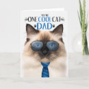 Search for birman cat Dad
