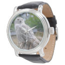 Search for predators watches Bird