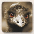 Search for ostrich coasters Cute