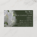Search for official business cards Bridal