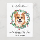 Search for corgi puppy cards Animal