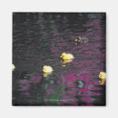 Search for duckling magnets Nature