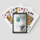 Search for eyes playing cards Cat