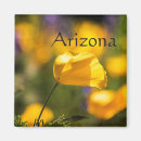 Search for poppies magnets Nature