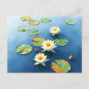 Search for floating flower postcards Lotus