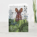 Search for cabbage cards Rabbits