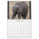 Search for lion calendars Elephant