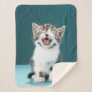 Search for meow meow blankets Kitten