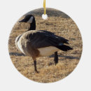 Search for goose christmas tree decorations Waterfowl