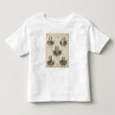 Search for lithograph tshirts Five