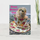 Search for easter mothers day cards For her