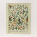 Search for illistration Flowers