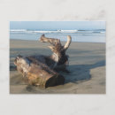 Search for costa rica postcards Beach