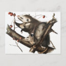 Search for antique mouse postcards Vintage