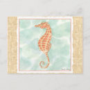 Search for oceans postcards Sea creatures