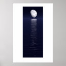 Search for trace posters Ray