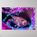 Search for harlequin art Cute