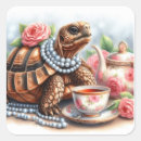 Search for cute tortoise stickers Party