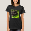 Search for wild gorilla clothing Tropical rainforest