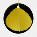 Search for aspen colorado christmas tree decorations Fall