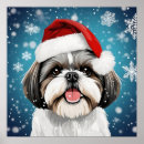 Search for shih tzu posters Animal