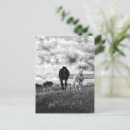 Search for pferd postcards Animal