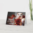 Search for poland christmas cards Photography