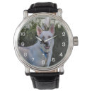 Search for ghosts watches Cute