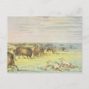 Search for the catlins postcards Native