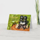 Search for ant cards Cute