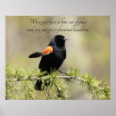Search for birdwatcher posters Photography